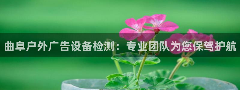 杏宇平台登录方法：曲阜户外广告设备检测：专业团队为您保驾护航