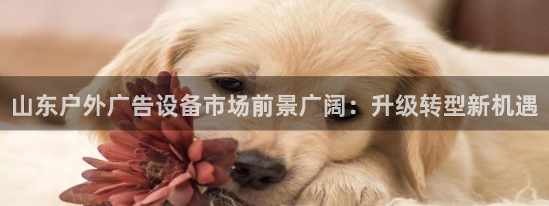杏宇平台怎么样知乎：山东户外广告设备市场前景广阔：升级转型新机遇