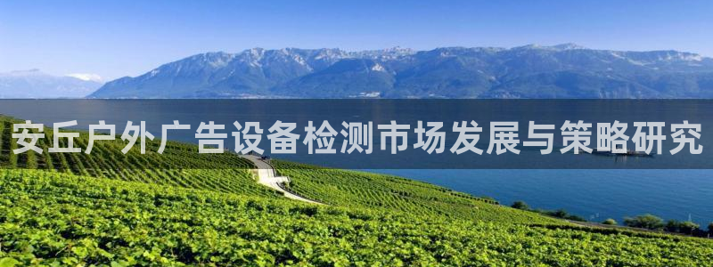 杏宇平台代理：安丘户外广告设备检测市场发展与策略研究