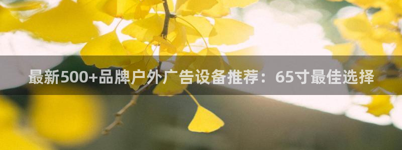 杏宇平台总代理电话：最新500+品牌户外广告设备推荐：65寸最佳选择