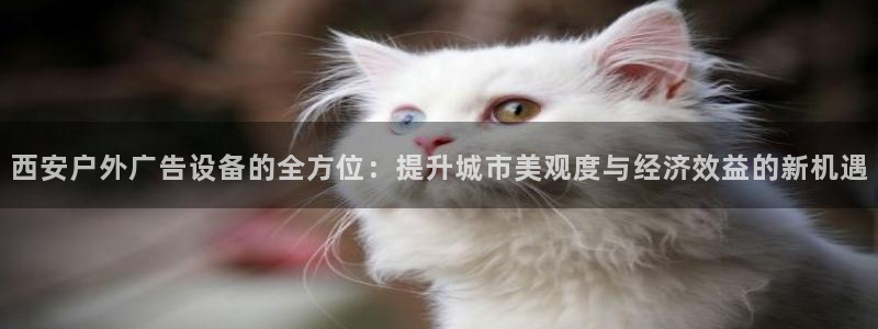 杏宇平台代理多少钱一个：西安户外广告设备的全方位：提升城市美观度与经济效益的新机遇