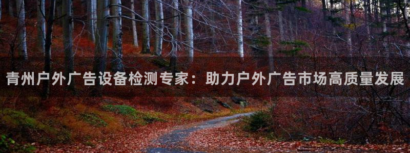 杏宇平台注册地址在哪里：青州户外广告设备检测专家：助力户外广告市场高质量发展