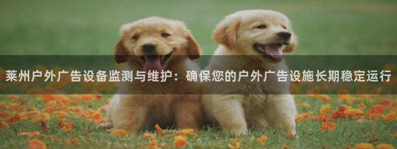 杏宇平台招商：莱州户外广告设备监测与维护：确保您的户外广告设施长期稳定运行