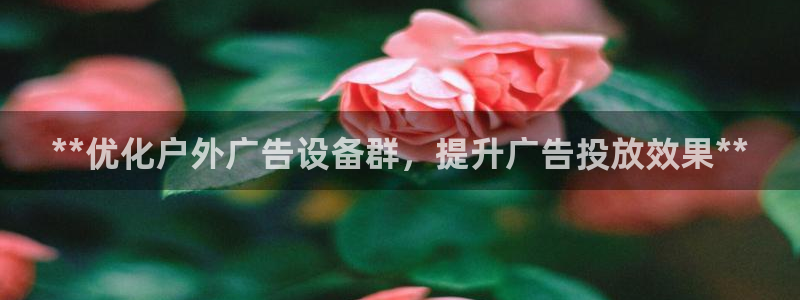 杏宇平台代理多少钱一个月：**优化户外广告设备群，提升广告投放效果**