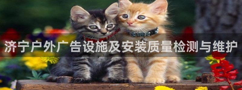 杏宇平台总代理：济宁户外广告设施及安装质量检测与维护