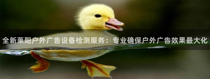 杏宇平台登录步骤图：全新莱阳户外广告设备检测服务：专业确保户外广告效果最大化