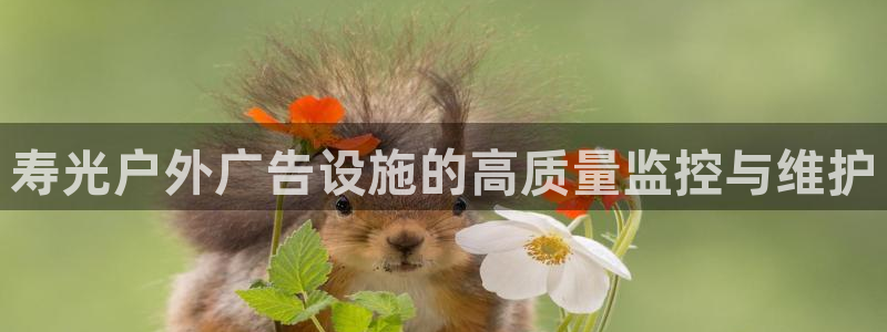 杏宇平台总代理：寿光户外广告设施的高质量监控与维护