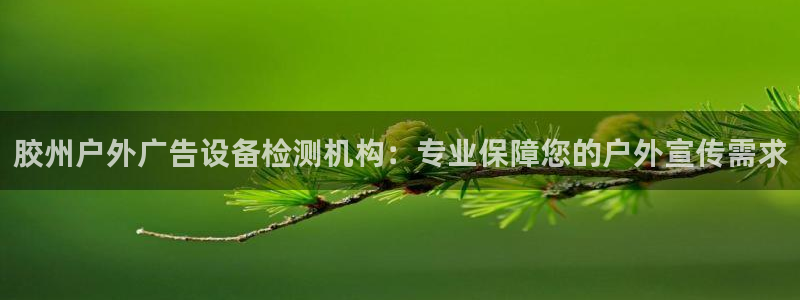 杏宇平台开户：胶州户外广告设备检测机构：专业保障您的户外宣传需求
