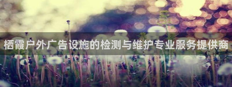 杏宇平台总代理电话：栖霞户外广告设施的检测与维护专业服务提供商