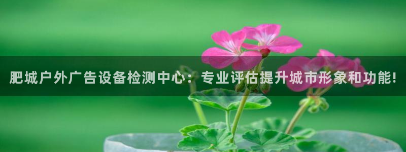 杏宇平台代理：肥城户外广告设备检测中心：专业评估提升城市形象和功能!