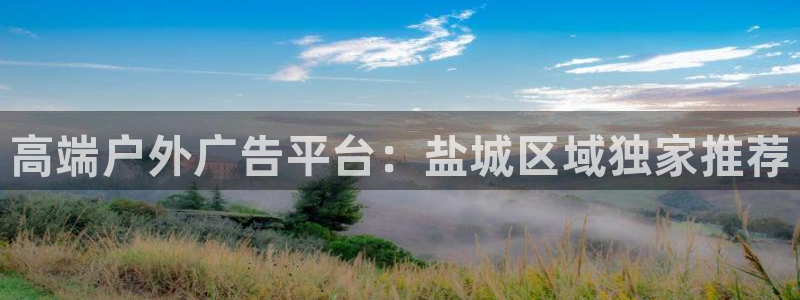 杏宇平台代理怎么赚钱快：高端户外广告平台：盐城区域独家推荐