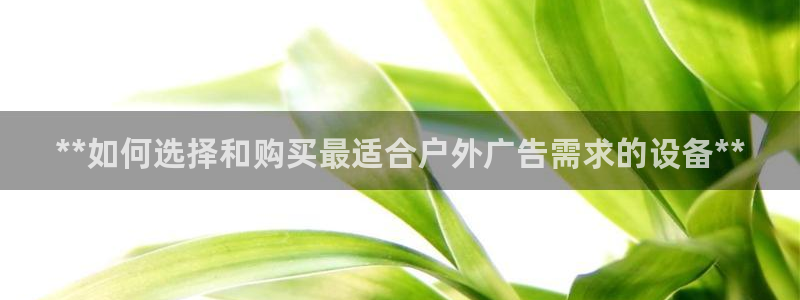 杏宇平台怎么样：**如何选择和购买最适合户外广告需求的设备**