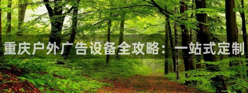 杏宇平台招商：重庆户外广告设备全攻略：一站式定制