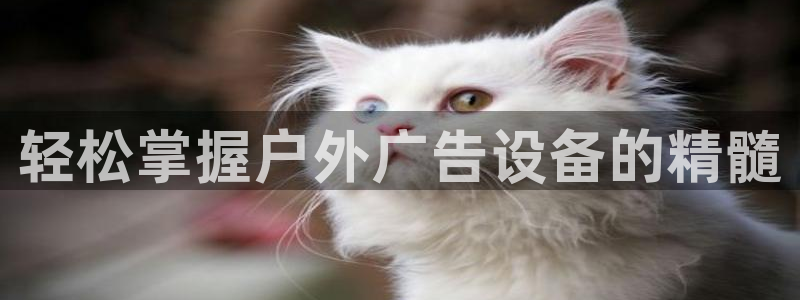 杏宇平台代理怎么样啊