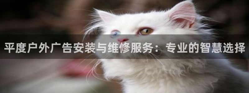 杏宇平台怎么样：平度户外广告安装与维修服务：专业的智慧选择
