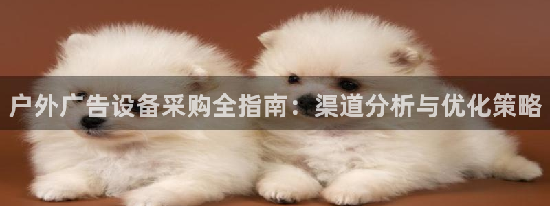 杏宇代理注册：户外广告设备采购全指南：渠道分析与优化策略