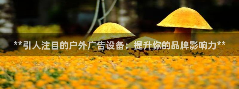 杏宇平台总代理是谁：**引人注目的户外广