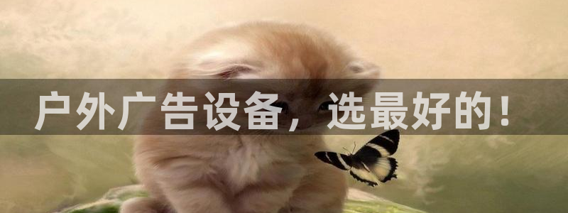 杏宇平台代理多少钱一个